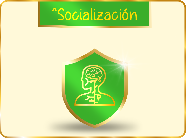 Socialización
