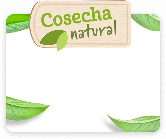 Gerber® Cosecha Natural