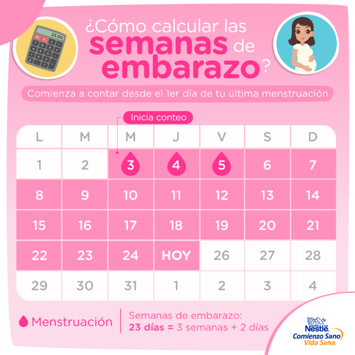 valor Nacarado Se infla Cómo calcular las semanas de embarazo? | Baby and Me México