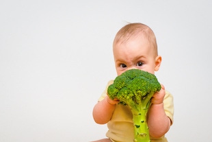 un bebé sosteniendo un ramo de brocolí