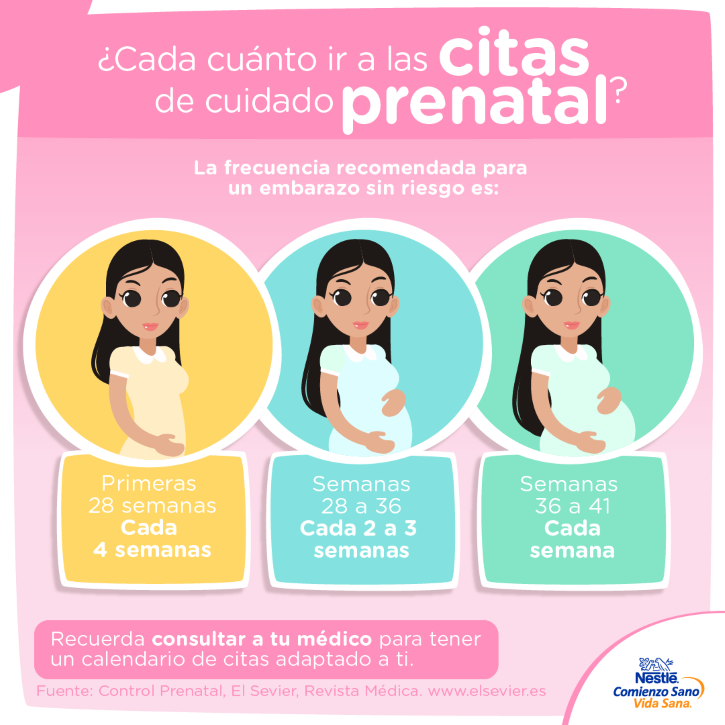 ¿Sabes cada cuando debes de ir a las citas de cuidado prenatal?