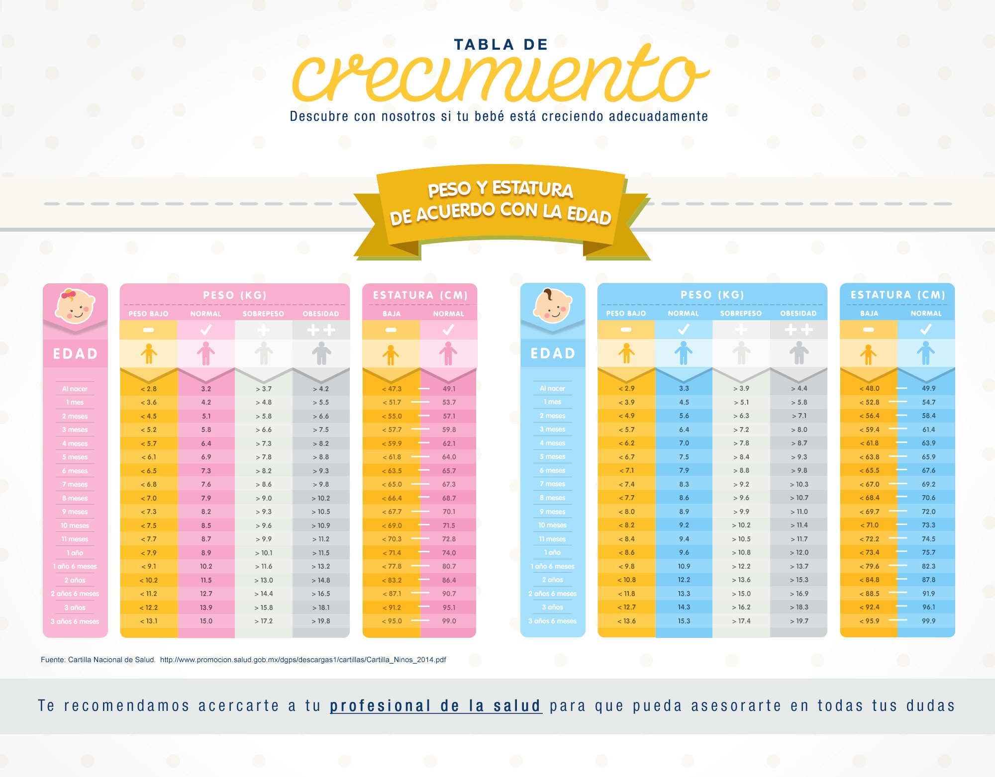 Características del bebé: 1 año (12 meses)