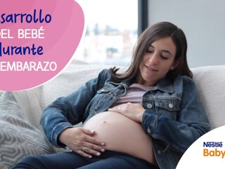 DESARROLLO DEL BEBÉ| ¿Cómo es el desarrollo de tu bebé durante el embarazo?