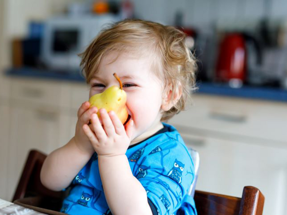Nutrición en los niños Alimentos para el desarrollo del cerebro
