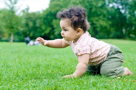 Bebé gateando sobre el pasto