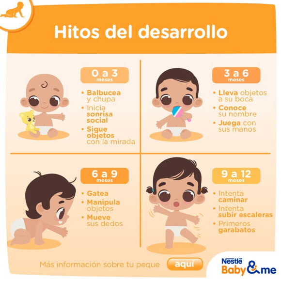 Infografía de Desarrollo del bebé