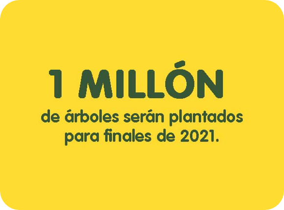 1 Millón de árboles serán plantados para finales de 2021.