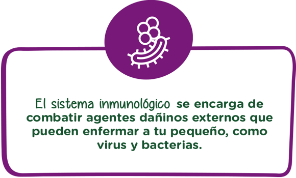 El sistema inmunológico se encarga de combatir agentes dañinos externos que pueden enfermar a tu pequeño, como virus y bacterias